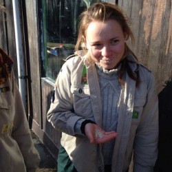 Spreeuw zit aan de bollen - Scouts en Gidsen Zaventem 